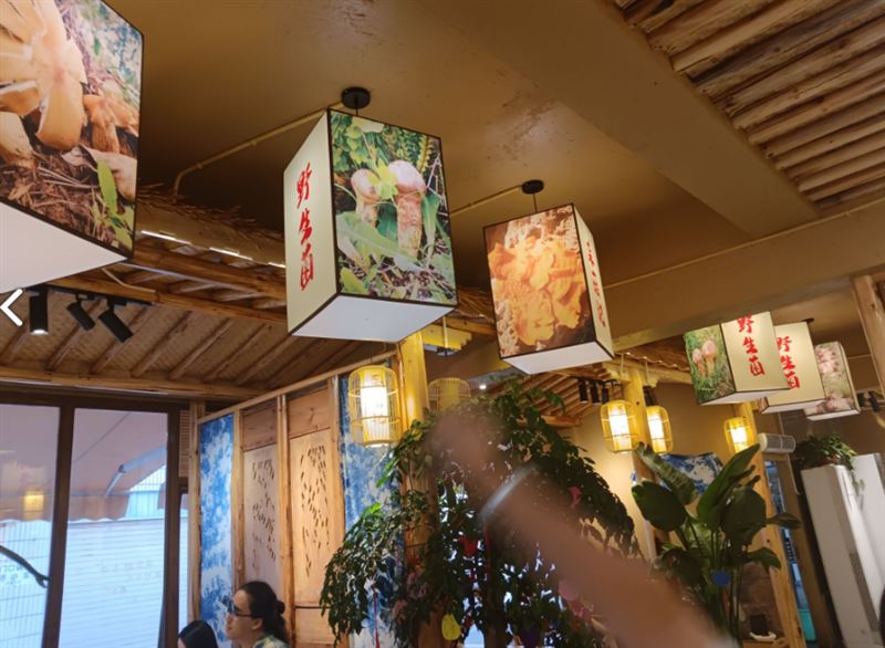 采菇记·铜瓢牛肉野生菌火锅的图标