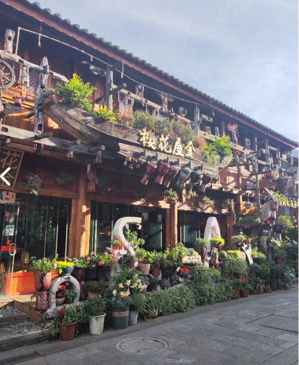 樱花屋金 的图标