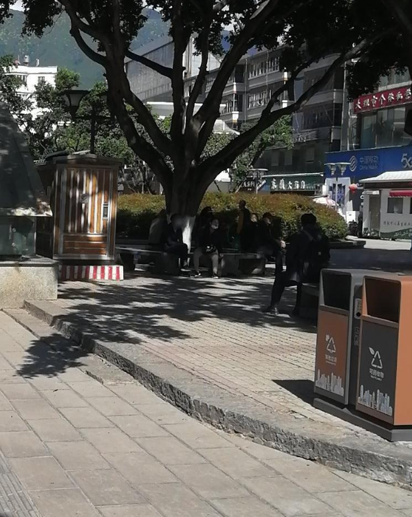 东骏大药房(迎宾店)的图标
