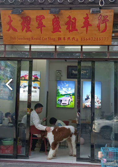 大理市军盛汽车租赁有限公司的图标